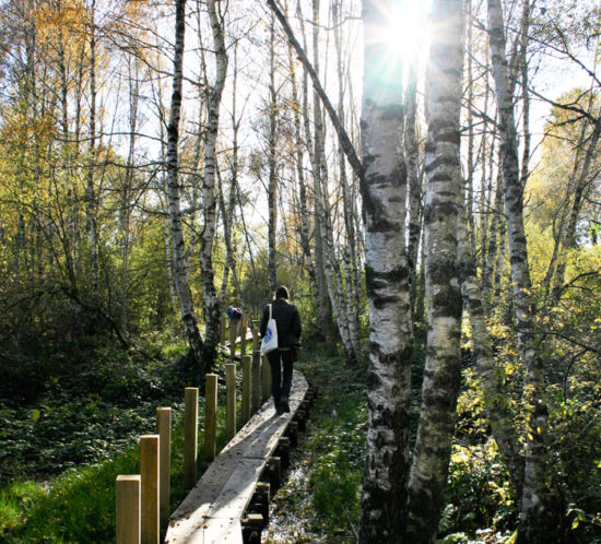 Plan d'eau Belvezet Tiviers