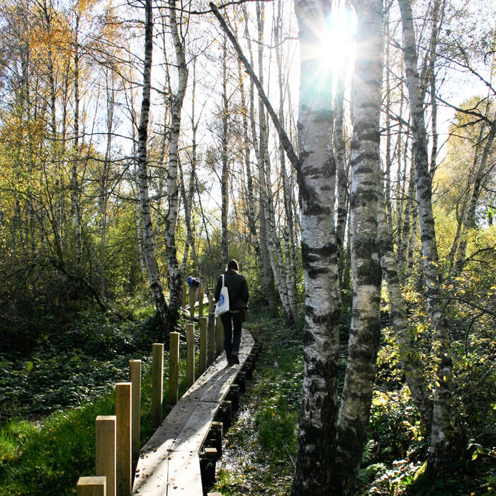 Plan d'eau Belvezet Tiviers