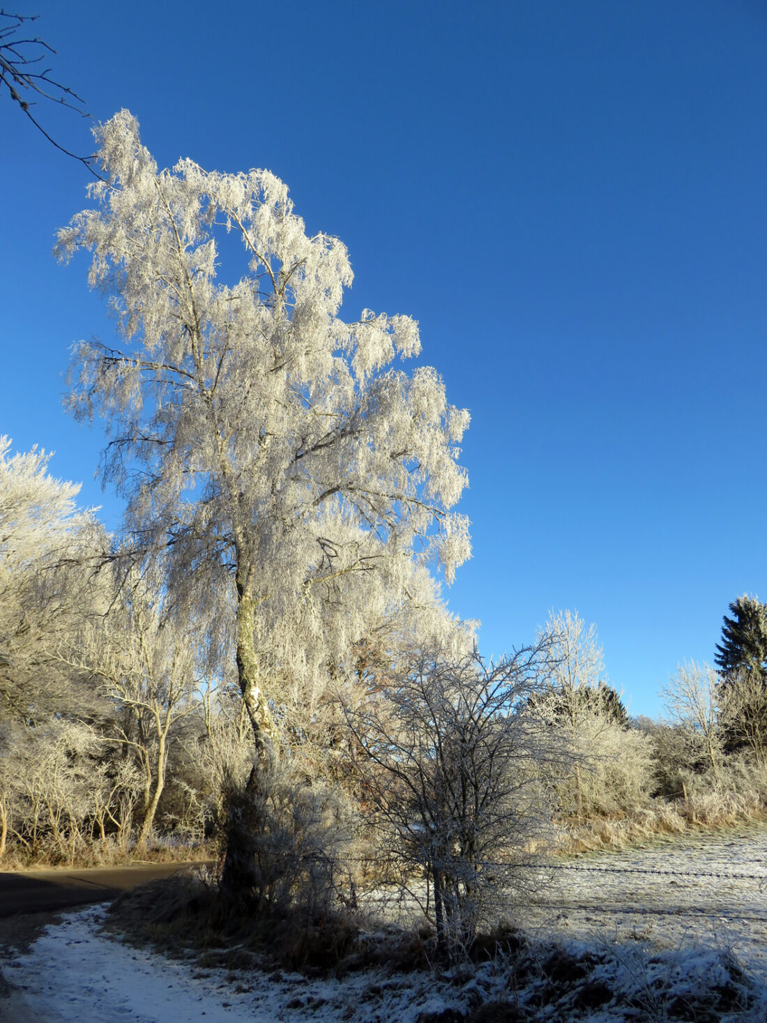 Travaux d'hiver au Côme