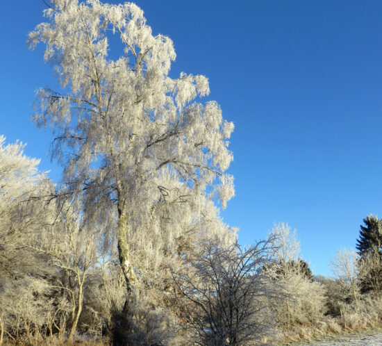 Travaux d'hiver au Côme